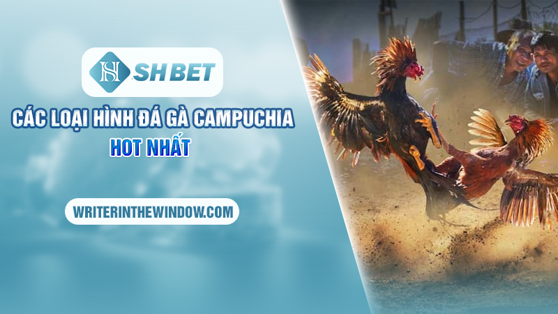 Thăng Hoa Cùng Đá Gà Campuchia Kịch Tính Tại SHBET 2 Các loại hình đá gà Campuchia hot nhất