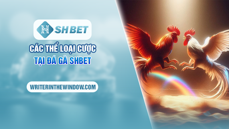 Các thể loại cược tại đá gà SHBET