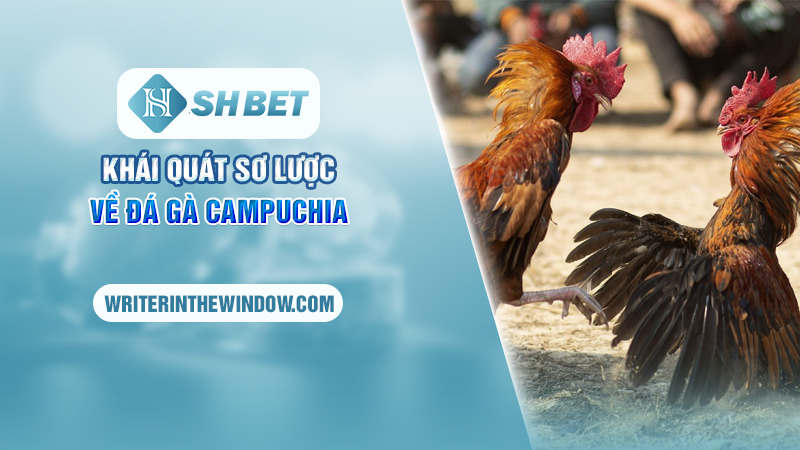 Thăng Hoa Cùng Đá Gà Campuchia Kịch Tính Tại SHBET 1 Khái quát sơ lược về đá gà Campuchia