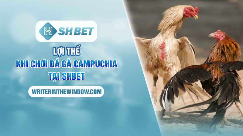 Thăng Hoa Cùng Đá Gà Campuchia Kịch Tính Tại SHBET 4 Lợi thế khi chơi đá gà Campuchia tại SHBET