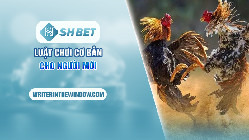 Thăng Hoa Cùng Đá Gà Campuchia Kịch Tính Tại SHBET 3 Luật chơi cơ bản cho người mới