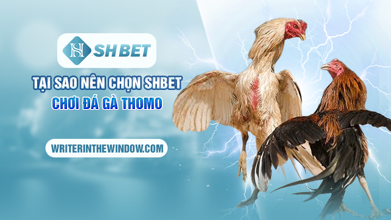 Chiến Thuật Chơi Đá Gà Thomo Tại SHBET - Chơi Là Thắng 1 Tại sao nên chọn SHBET chơi đá gà Thomo