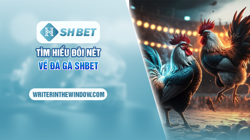 Tìm hiểu đôi nét về đá gà SHBET