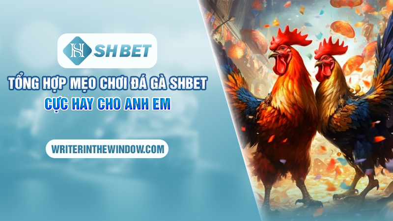 Tổng hợp mẹo chơi đá gà SHBET cực hay cho anh em