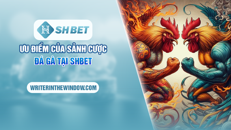 Ưu điểm của sảnh cược đá gà tại SHBET