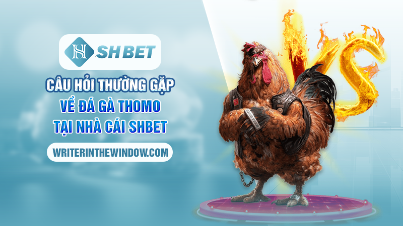 Chiến Thuật Chơi Đá Gà Thomo Tại SHBET - Chơi Là Thắng 4 Câu hỏi thường gặp về đá gà Thomo tại nhà cái SHBET