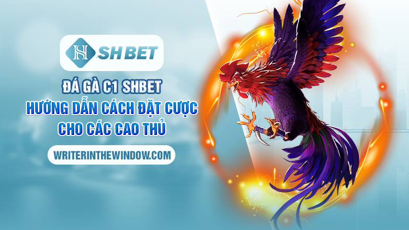 Đá gà C1