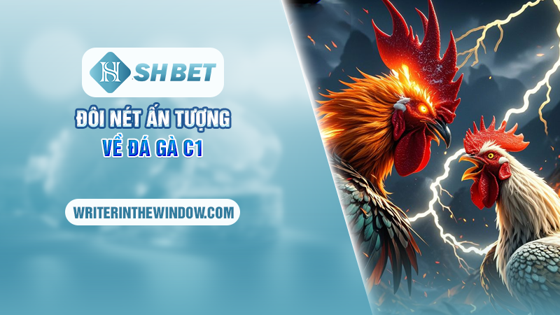 Đá Gà C1 SHBET – Hướng Dẫn Cách Đặt Cược Cho Các Cao Thủ 1 Đôi nét ấn tượng về Đá gà C1