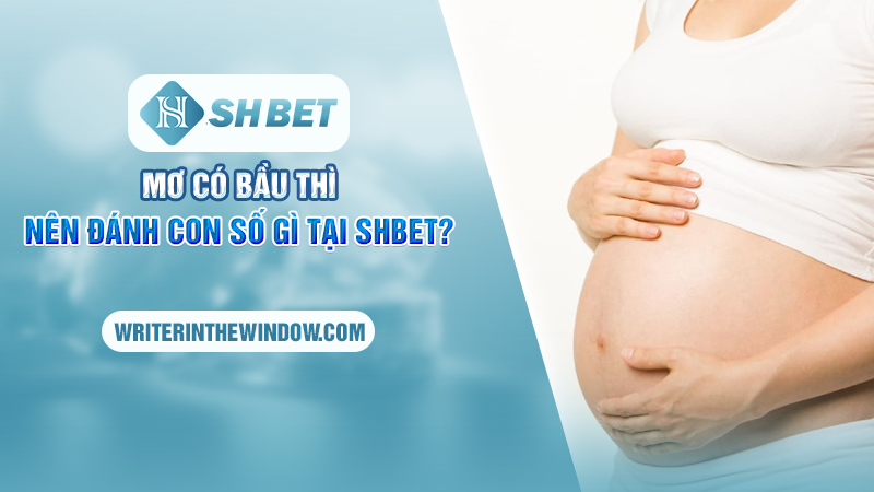 Mơ Có Bầu - Dự Đoán Con Số May Mắn Cho Bạn Tại SHBET 3 Mơ có bầu thì nên đánh con số gì tại SHBET?