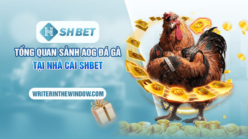 AOG Đá Gà SHBET - Sân Chơi Hàng Đầu Kịch Tính Nhất Châu Á 1 Tổng quan sảnh AOG đá gà tại nhà cái SHBET